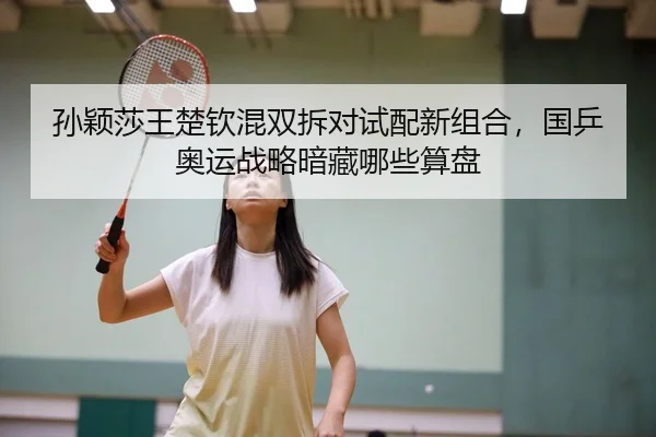 sun-ying-sha-wang-chu-qin-hun-shuang-chai-dui-shi-pei-xin-zu-he-guo-ping-ao-yun-zhan-lve-an-cang-na-xie-suan-pan-1-378.jpg