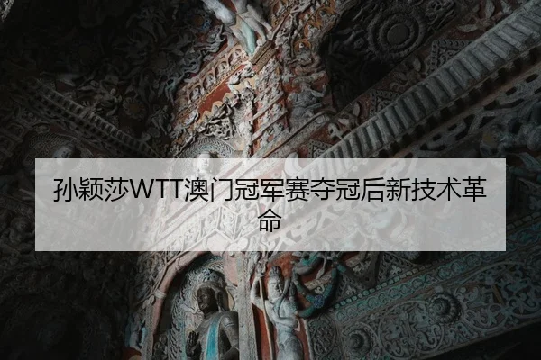 sun-ying-sha-ao-men-guan-jun-sai-duo-guan-hou-xin-ji-shu-ge-ming-1-362.jpg
